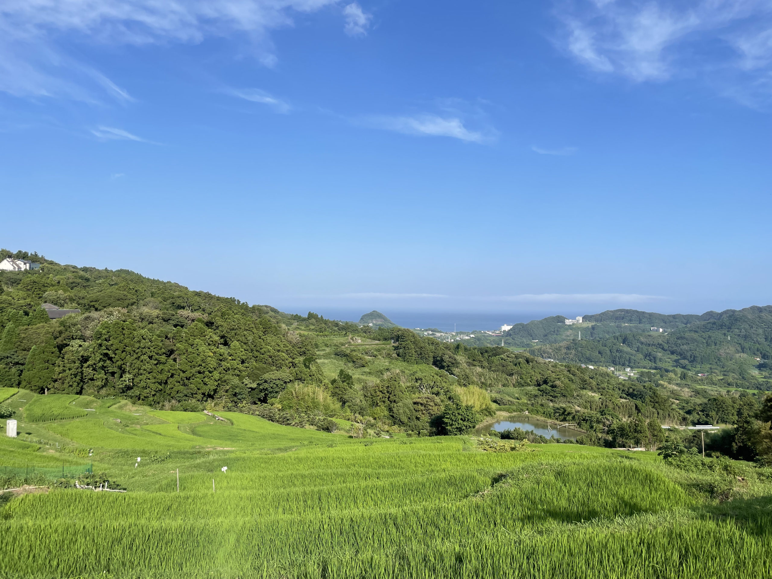 場内より徒歩2分、棚田の絶景をごらんください!